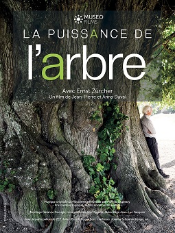 image Projection du film « la Puissance de l'Arbre » et débat avec le réalisateur